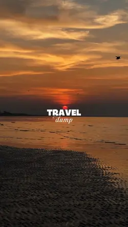Travel dump