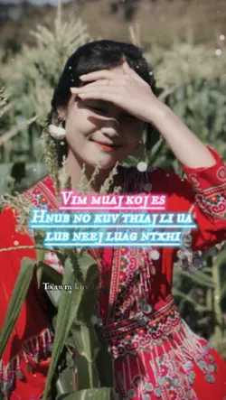 Vim muaj koj es