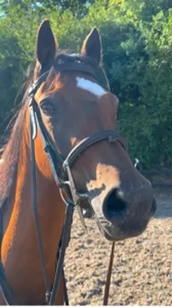 My pretty boy🤎🔥