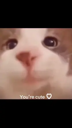 You‘re cute