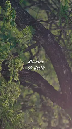 Slowmo 60 detik