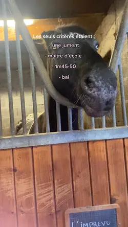 Les seuls critères