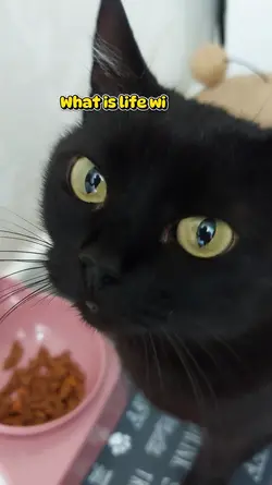 Food, food, food..
