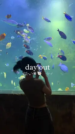 DAY OUT