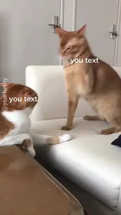 you