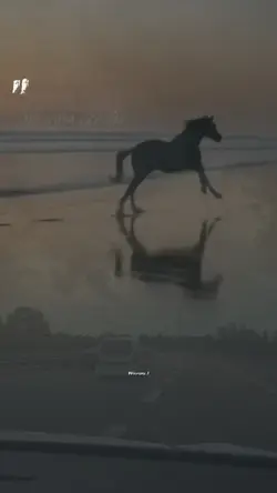 Bi Muska yazdır 