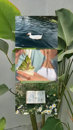 hello july