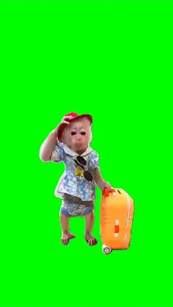 Monkey on vacation
