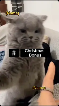 Christmas Bonus