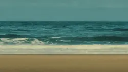 1video