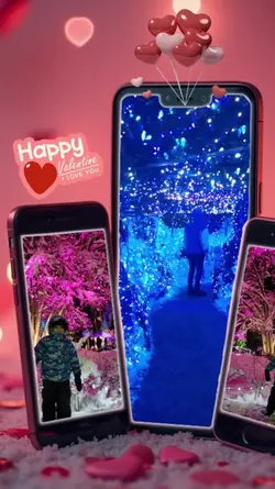 phonegallery vid/pic