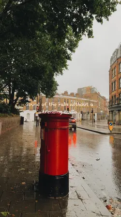 Sound of the rain 