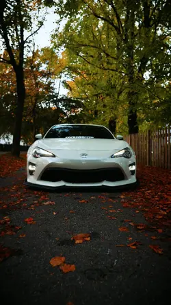 CAR DETAIL