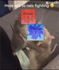 Rare footage