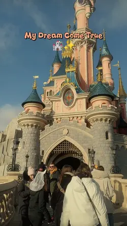 Wonderful Disneyland