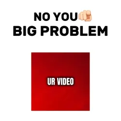 NO YOU BIG PROBLEM