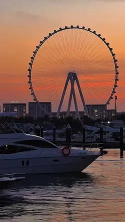 Aesthetic