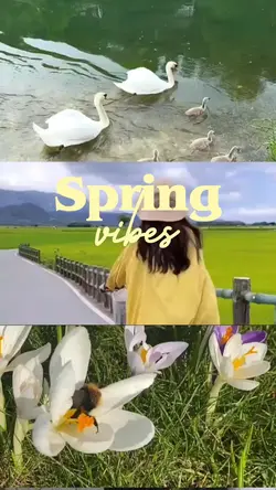 Scroll effect spring