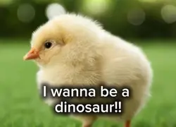 Dark humor