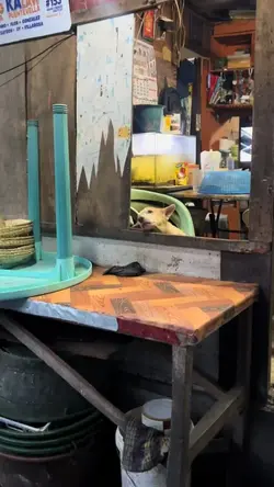 kahit anopiliin niya