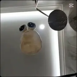 the saddest thin