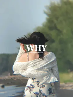 Why - Bazzi
