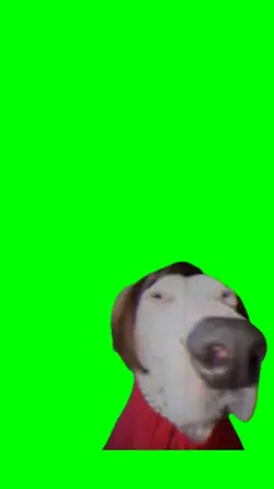 Guten Morgen