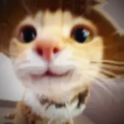 Cute Cat Edit