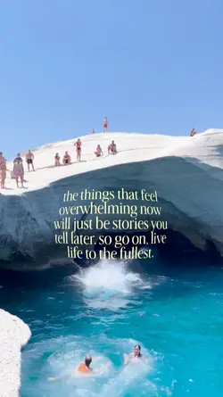 yolo