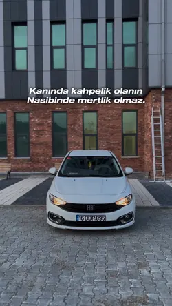Ortalık Karışır. 