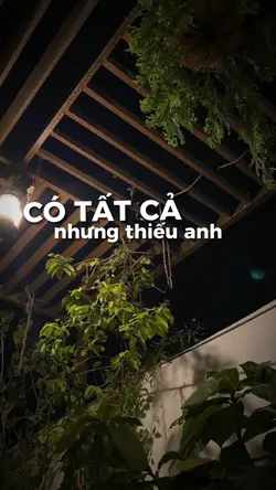 Có tất cả nhưng 