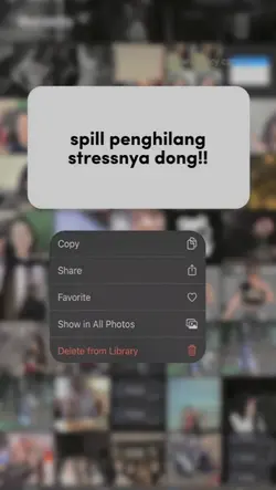 spill penghilang 