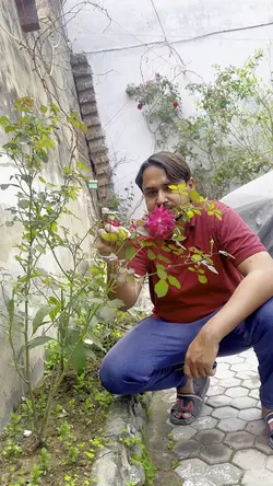 SlowMo poetry