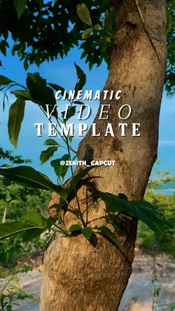 Film Video Effect