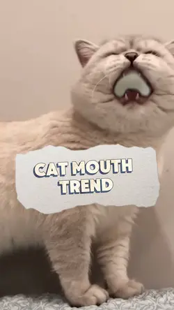 📸 Cat Mouth Trend 🎶