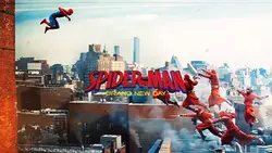 Suit New Day