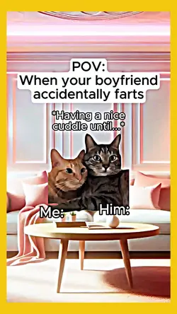 Cat n dog memes 