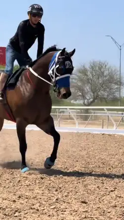 CABALLOSSS