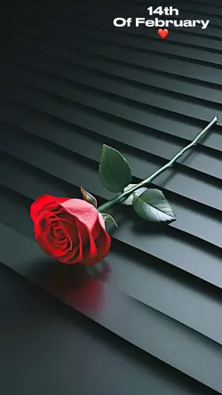 Happy Valentine’s 