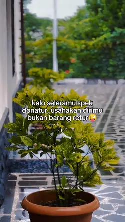 foto live kata kata