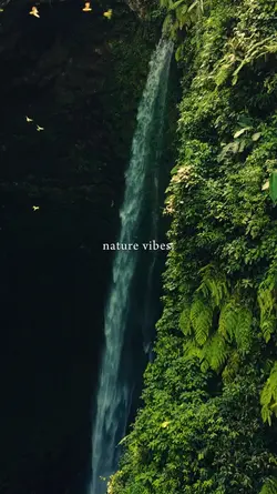 nature vibes.