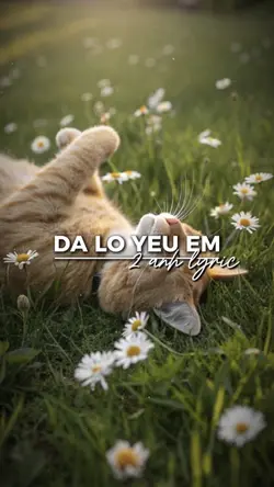 đã lỡ yêu em nhiều