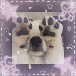 Silly Puppy's!