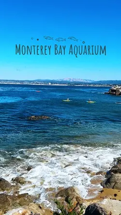 Monterey Bay 