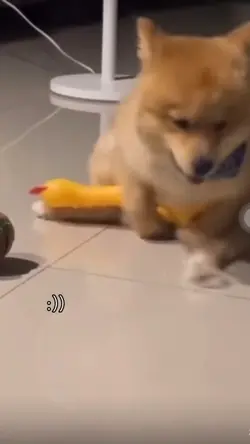 Bậy gòiii