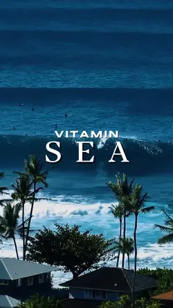 vitamin sea
