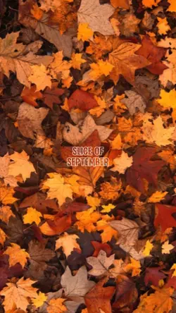 SLICE OF SEPTEMBER
