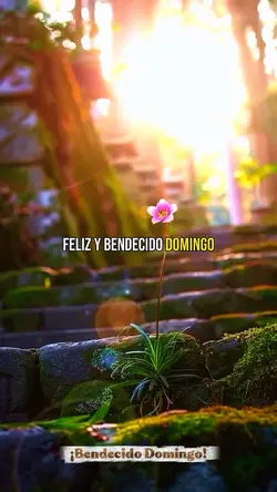 Bendecido Domingo 