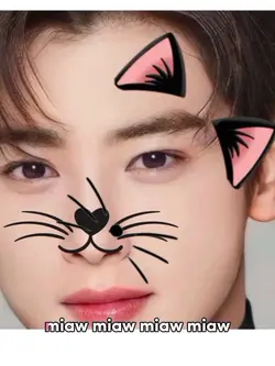 MIAWMIAW