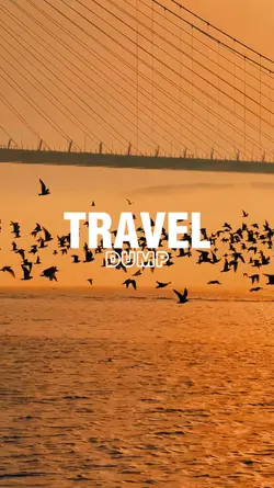 Travel Dump 